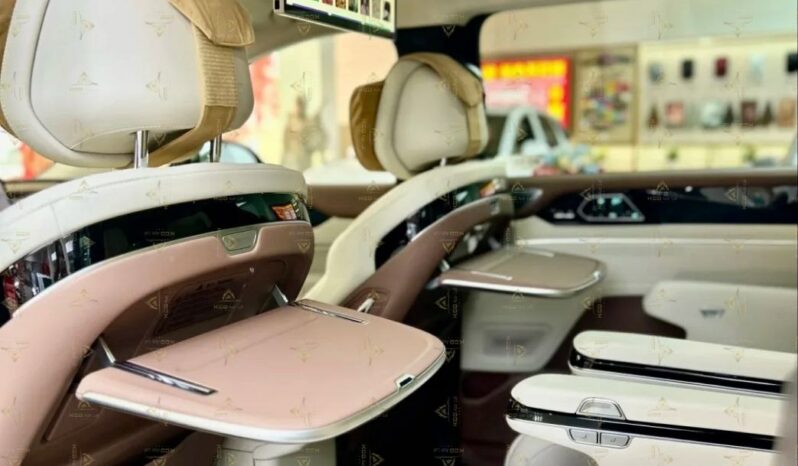 2025 BYD XIA full