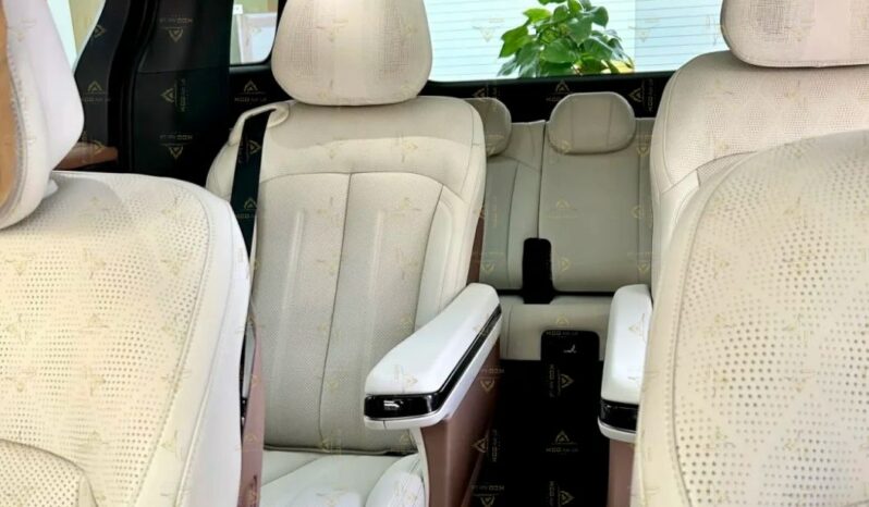 2025 BYD XIA full