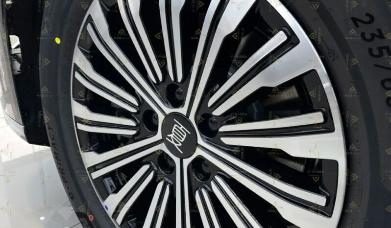 2025 BYD XIA full