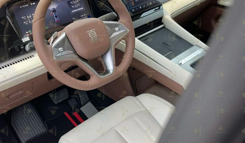 2025 BYD XIA full