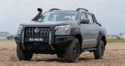 2024 Dongfeng Rich 6 Pro